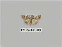 藏品(螟蛾290)的圖片